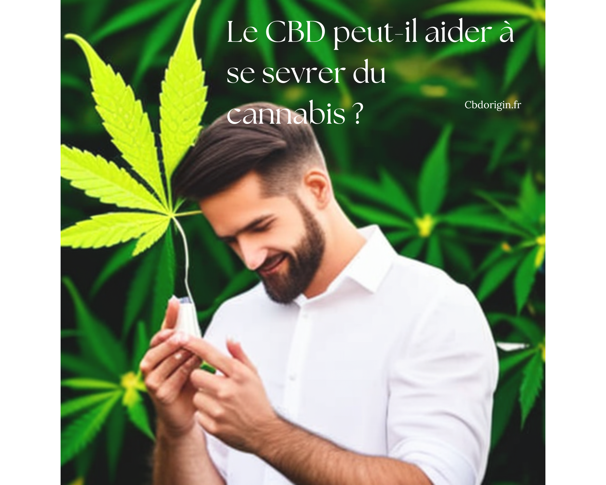 CBD et sevrage cannabis