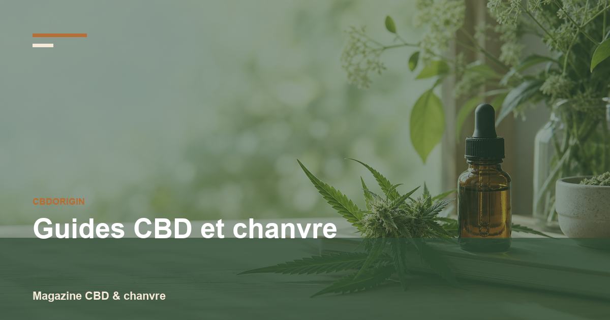 CBDorigin, le guide clair pour comprendre le CBD