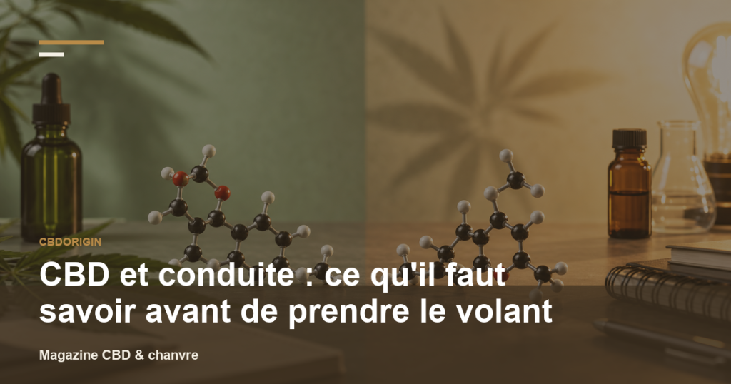 Illustration CBDorigin : CBD et conduite : ce qu'il faut savoir avant de prendre le volant
