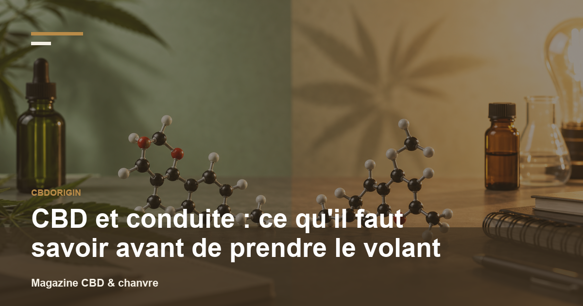 CBD et conduite : ce qu'il faut savoir avant de prendre le volant