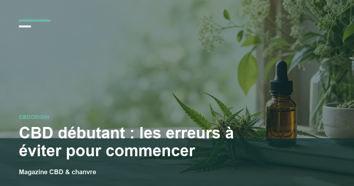 CBD débutant : les erreurs à éviter pour commencer