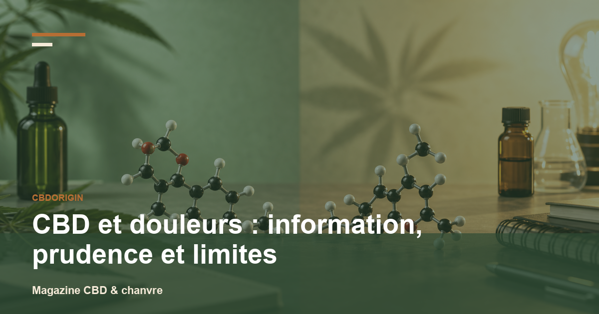 CBD et douleurs : information, prudence et limites