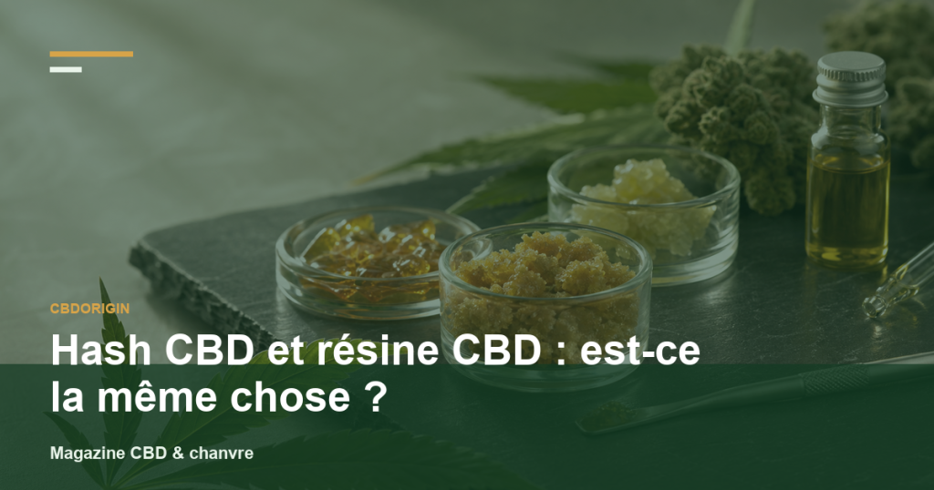 Illustration CBDorigin : Hash CBD et résine CBD : est-ce la même chose ?
