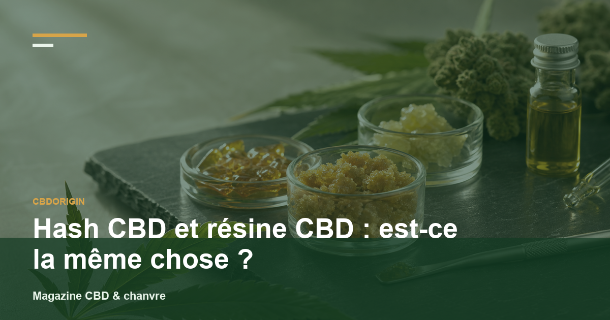 Hash CBD et résine CBD : est-ce la même chose ?