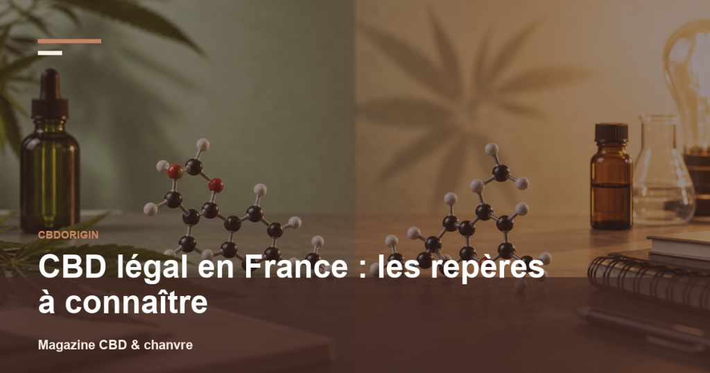 Illustration CBDorigin : CBD légal en France : les repères à connaître