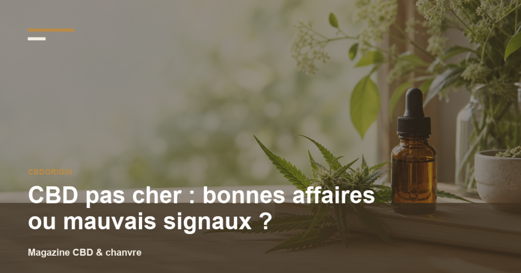 Illustration CBDorigin : CBD pas cher : bonnes affaires ou mauvais signaux ?