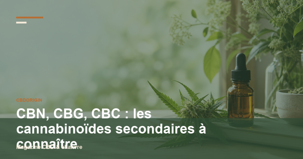 Illustration CBDorigin : CBN, CBG, CBC : les cannabinoïdes secondaires à connaître