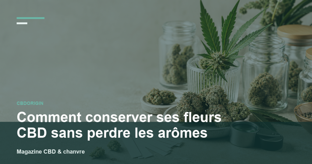 Illustration CBDorigin : Comment conserver ses fleurs CBD sans perdre les arômes