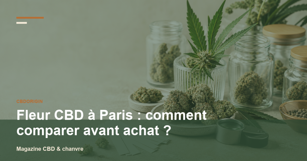 Illustration CBDorigin : Fleur CBD à Paris : comment comparer avant achat ?