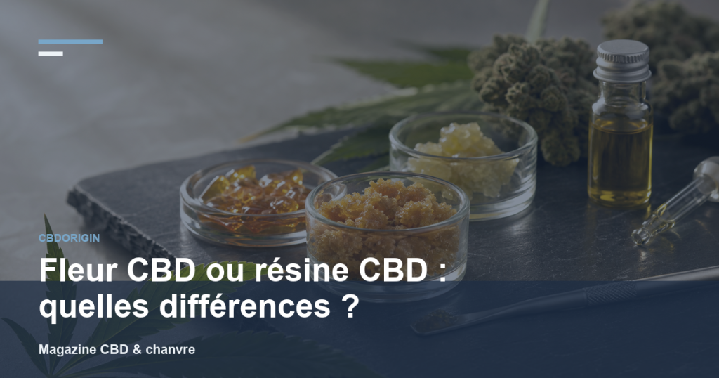 Illustration CBDorigin : Fleur CBD ou résine CBD : quelles différences ?
