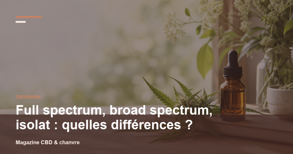 Illustration CBDorigin : Full spectrum, broad spectrum, isolat : quelles différences ?