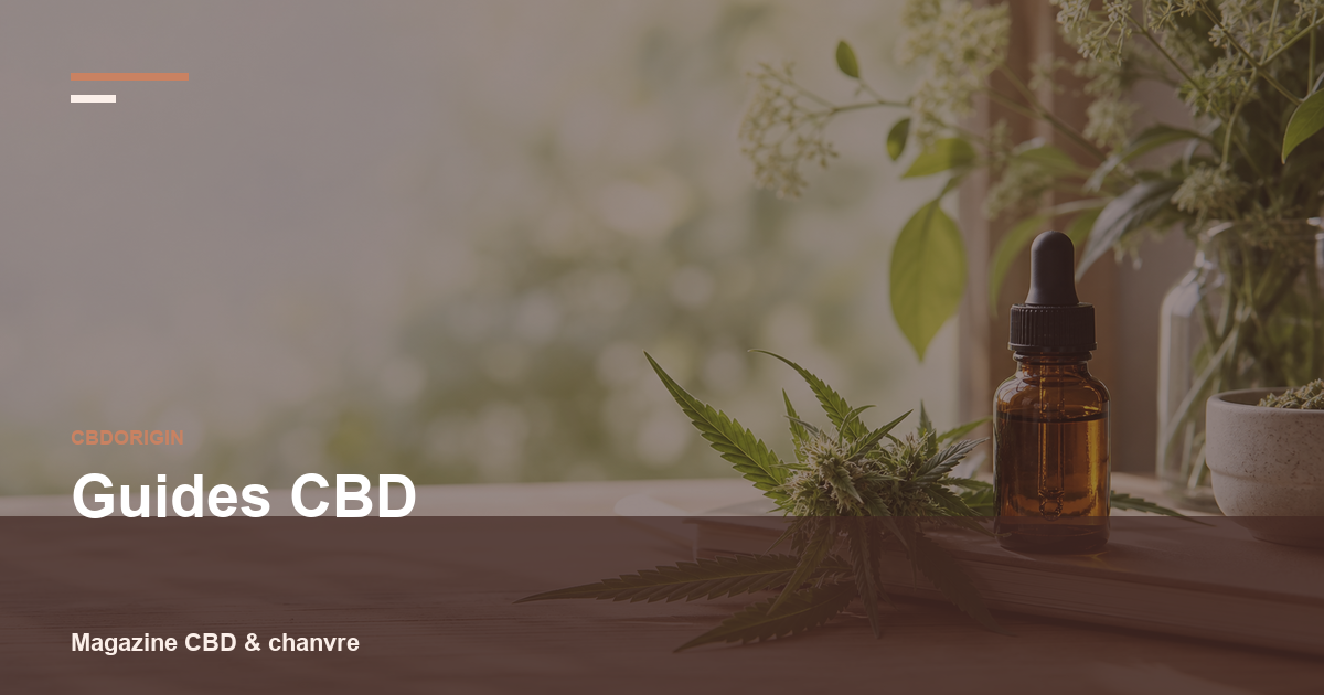 Guides CBD : comprendre, comparer et éviter les raccourcis