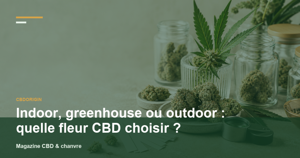 Illustration CBDorigin : Indoor, greenhouse ou outdoor : quelle fleur CBD choisir ?