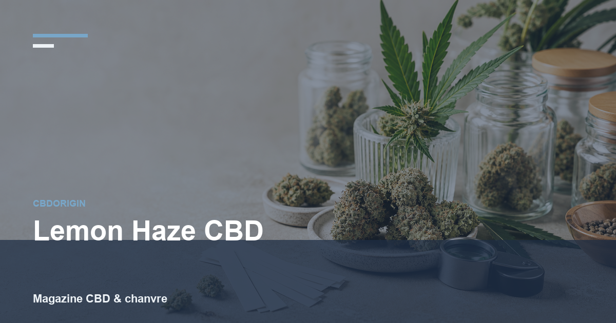 Lemon Haze CBD : guide complet, profil, arômes et critères de choix