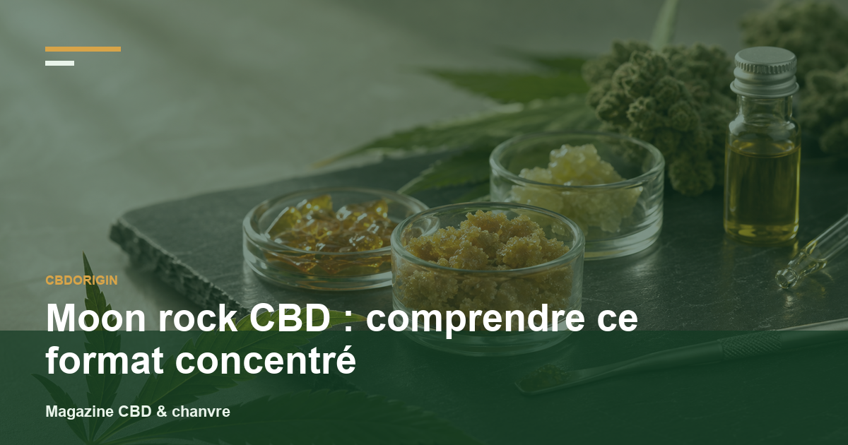 Moon rock CBD : comprendre ce format concentré