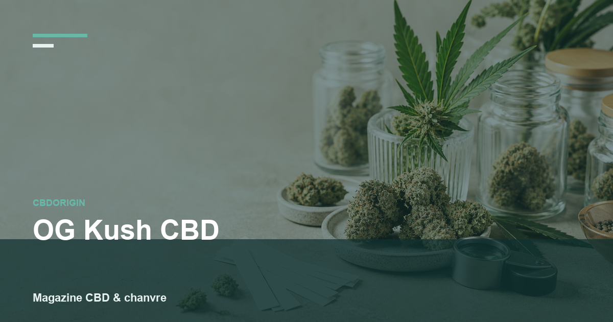 OG Kush CBD : guide complet, profil, arômes et critères de choix