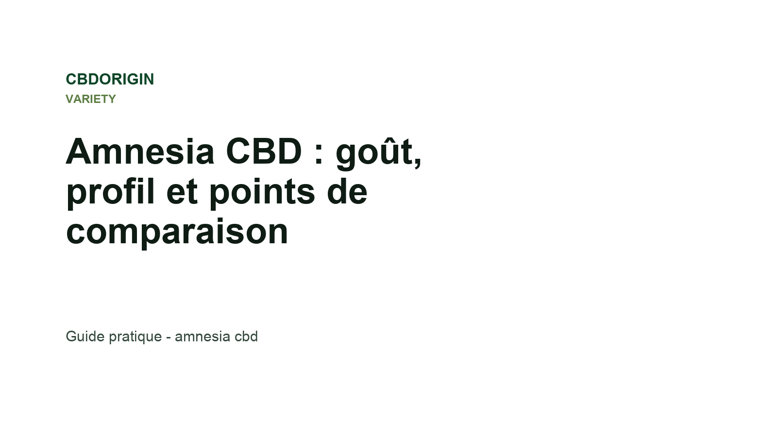 Amnesia CBD : goût, profil et points de comparaison