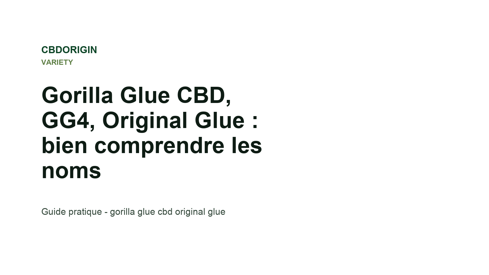 Gorilla Glue CBD, GG4, Original Glue : bien comprendre les noms