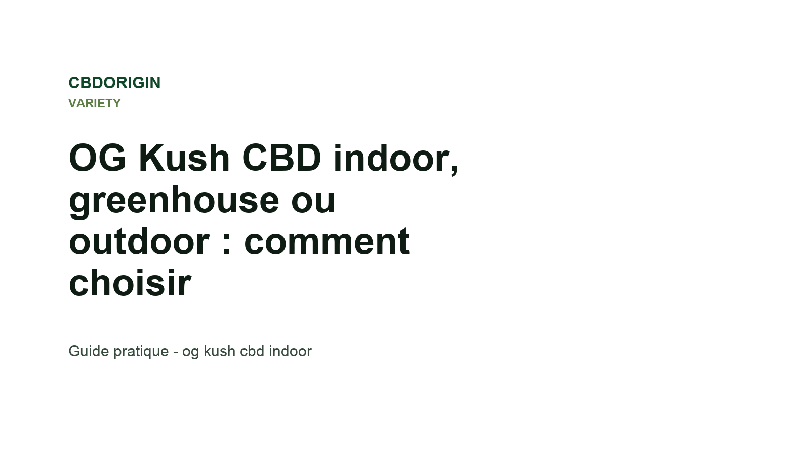 OG Kush CBD indoor, greenhouse ou outdoor : comment choisir