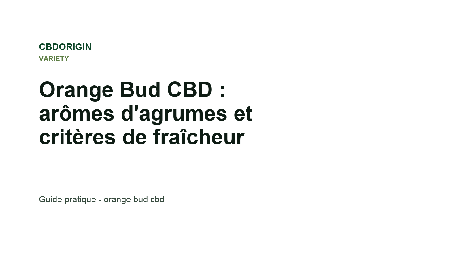 Orange Bud CBD : arômes d'agrumes et critères de fraîcheur