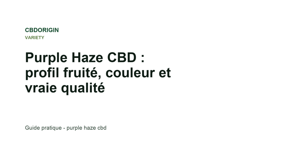Illustration CBDorigin : Purple Haze CBD : profil fruité, couleur et vraie qualité