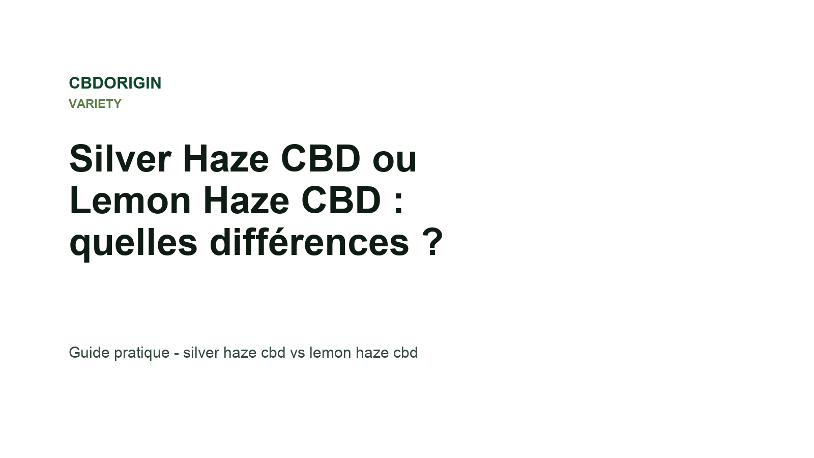 Silver Haze CBD ou Lemon Haze CBD : quelles différences ?
