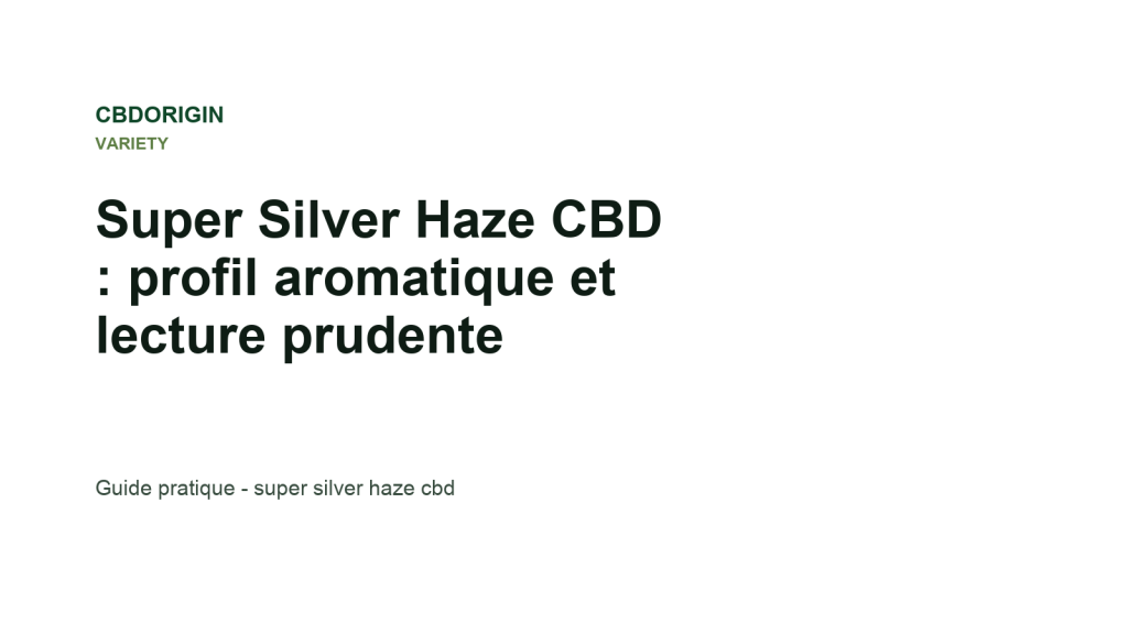 Illustration CBDorigin : Super Silver Haze CBD : profil aromatique et lecture prudente