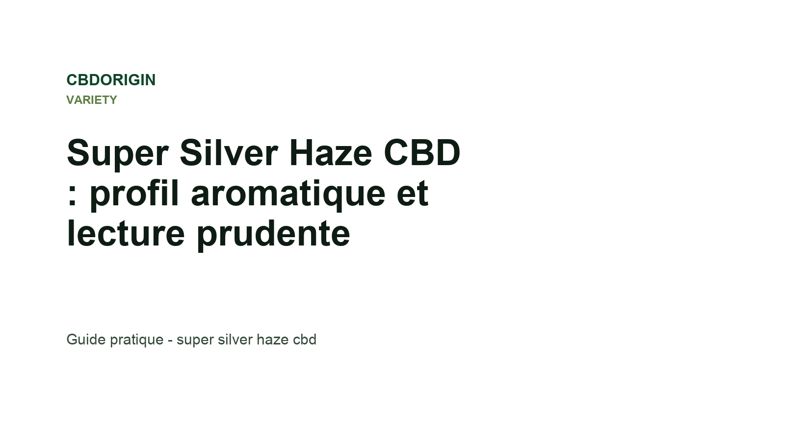 Super Silver Haze CBD : profil aromatique et lecture prudente