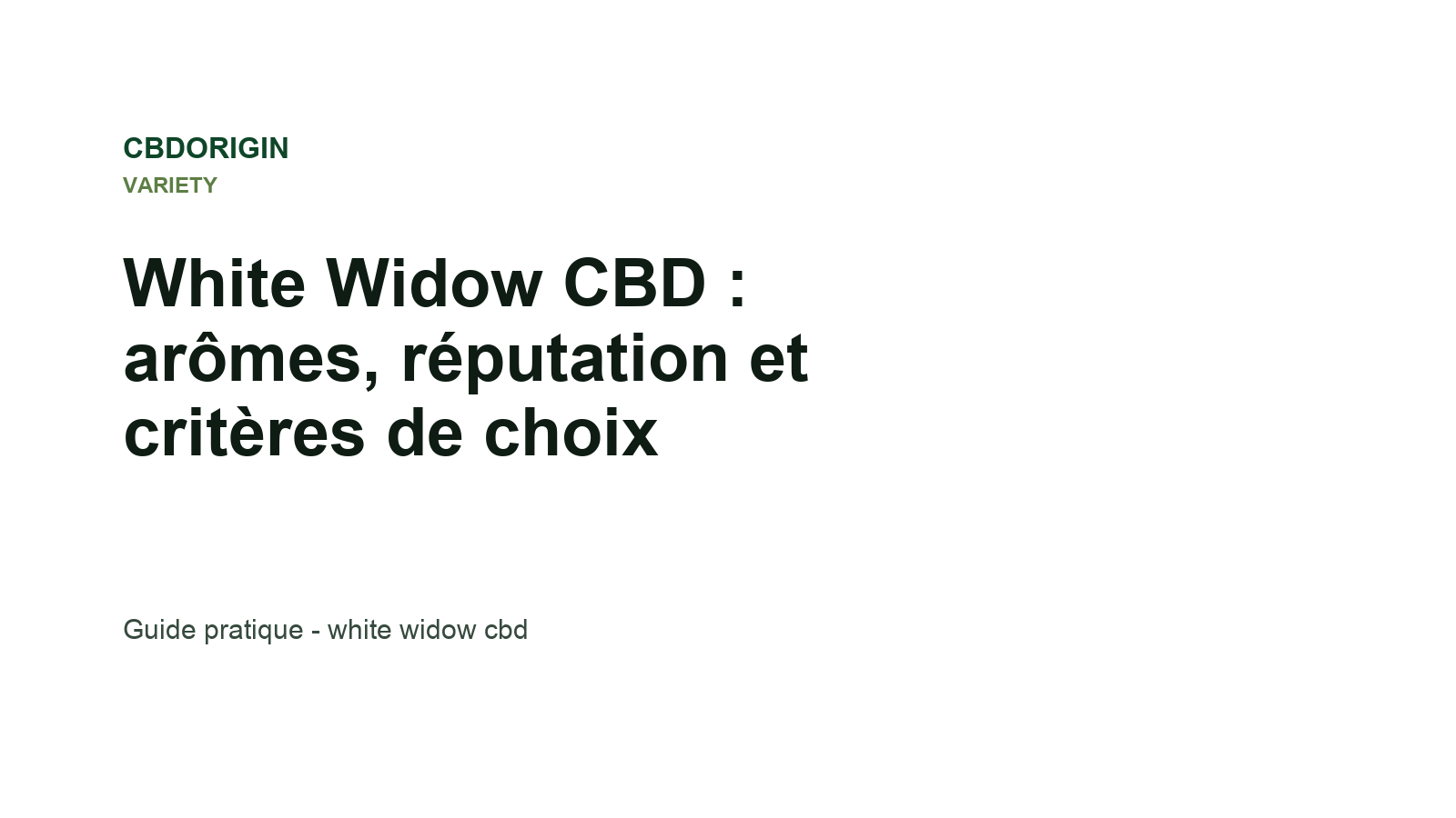 White Widow CBD : arômes, réputation et critères de choix